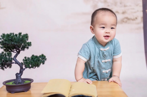 阳泉可爱的企鹅宝宝
